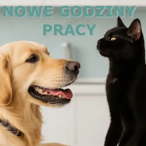 Nowe godziny pracy od 1 Czerwca