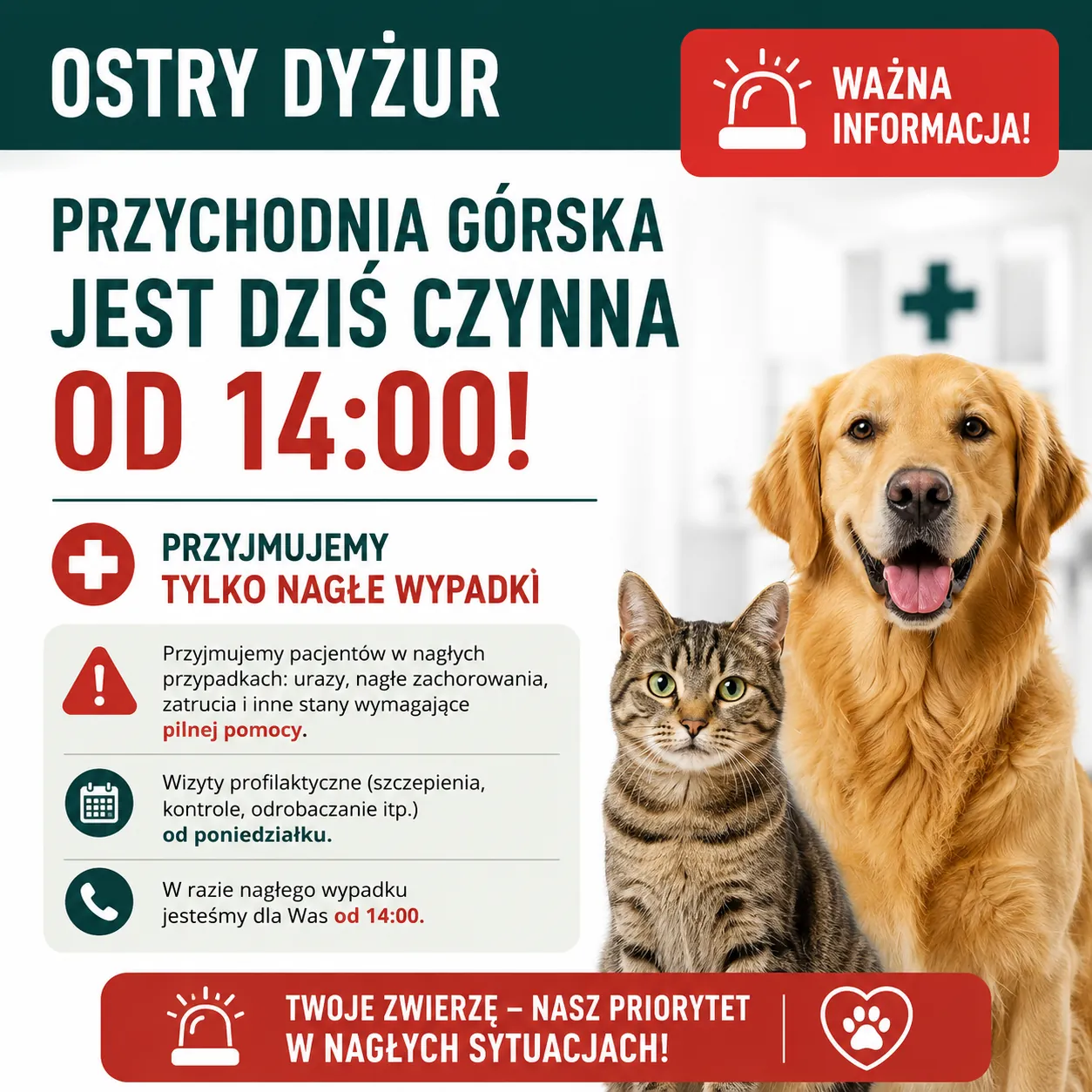 Ostry Dyżur - 15.08.2026