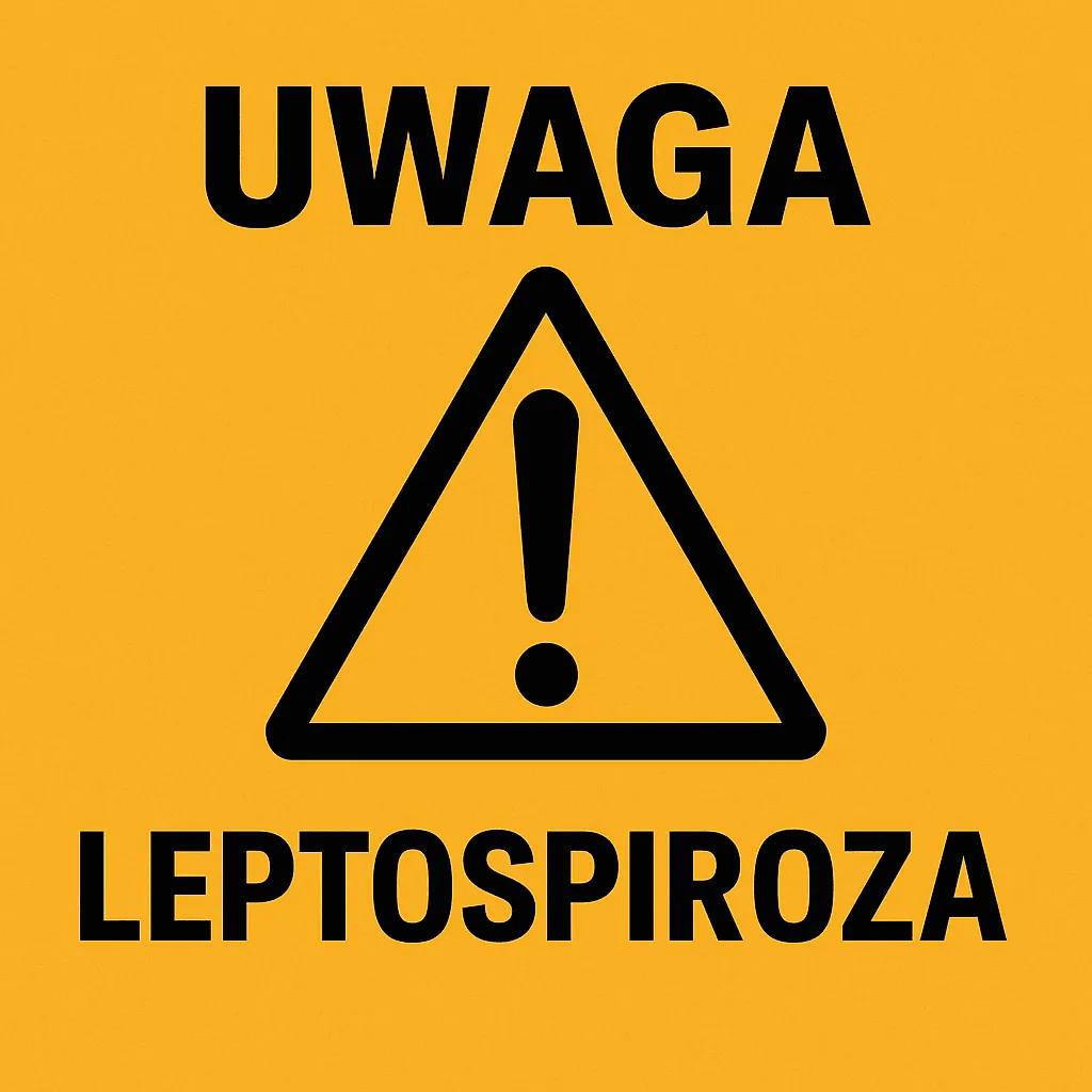 Leptospiroza – rosnące zagrożenie w naszym regionie.