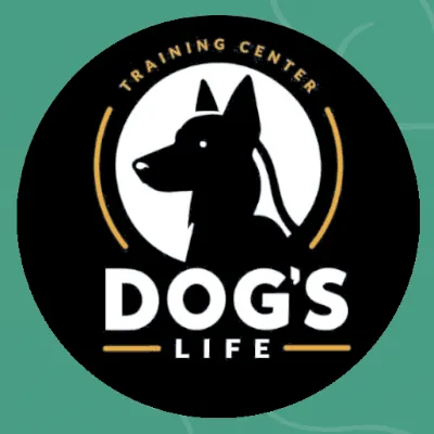 Współpraca z Dog’s Life – Training Center!